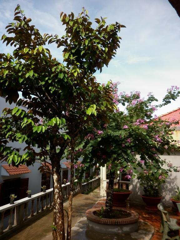 The Palm Tree Guesthouse Phú Quý Zewnętrze zdjęcie