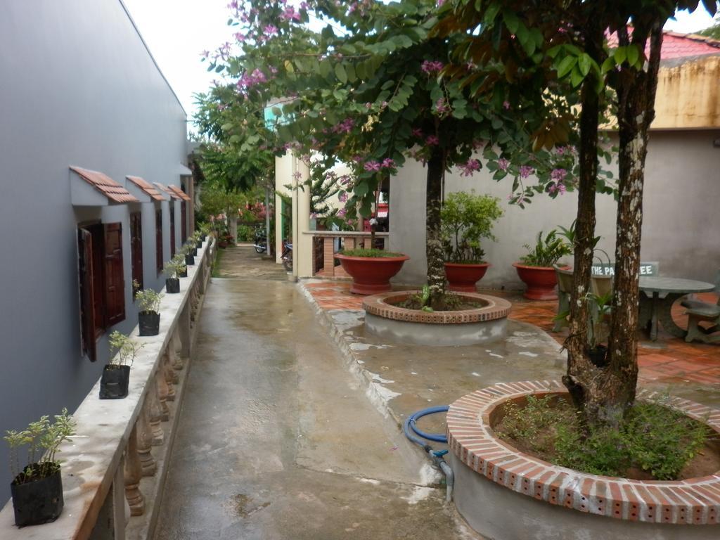 The Palm Tree Guesthouse Phú Quý Zewnętrze zdjęcie