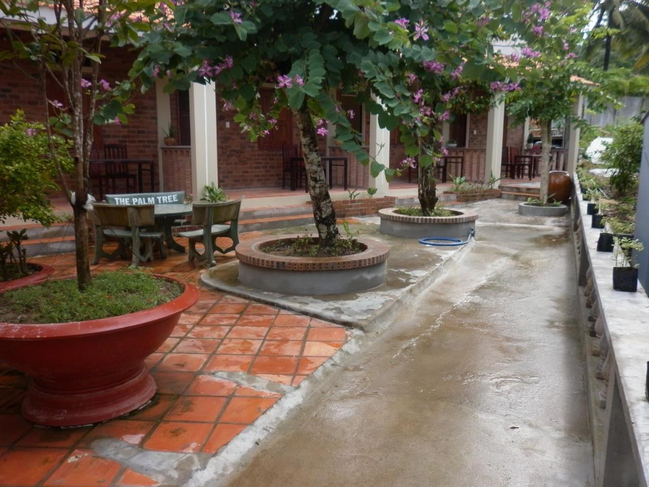 The Palm Tree Guesthouse Phú Quý Zewnętrze zdjęcie